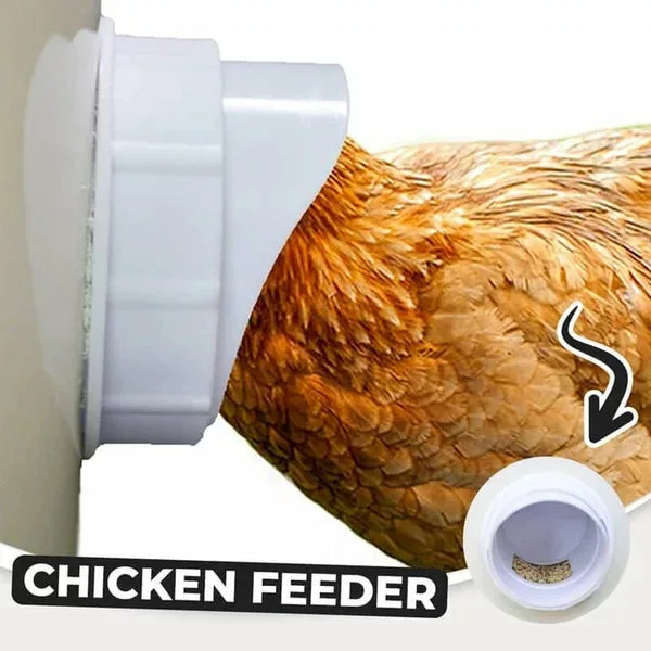 (2022 Christmas Hot Sale 30% OFF)DIY Chicken Feeder