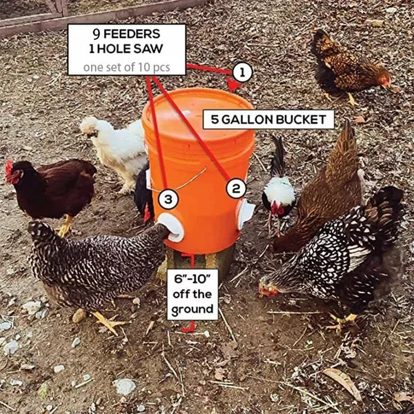 (2022 Christmas Hot Sale 30% OFF)DIY Chicken Feeder