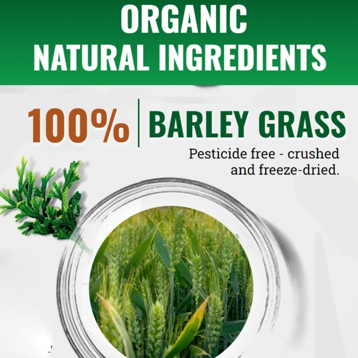 Barley grass powder 100% Pure & Organic