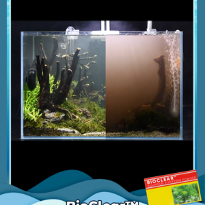 BioClear Aquarium Purifying Powder