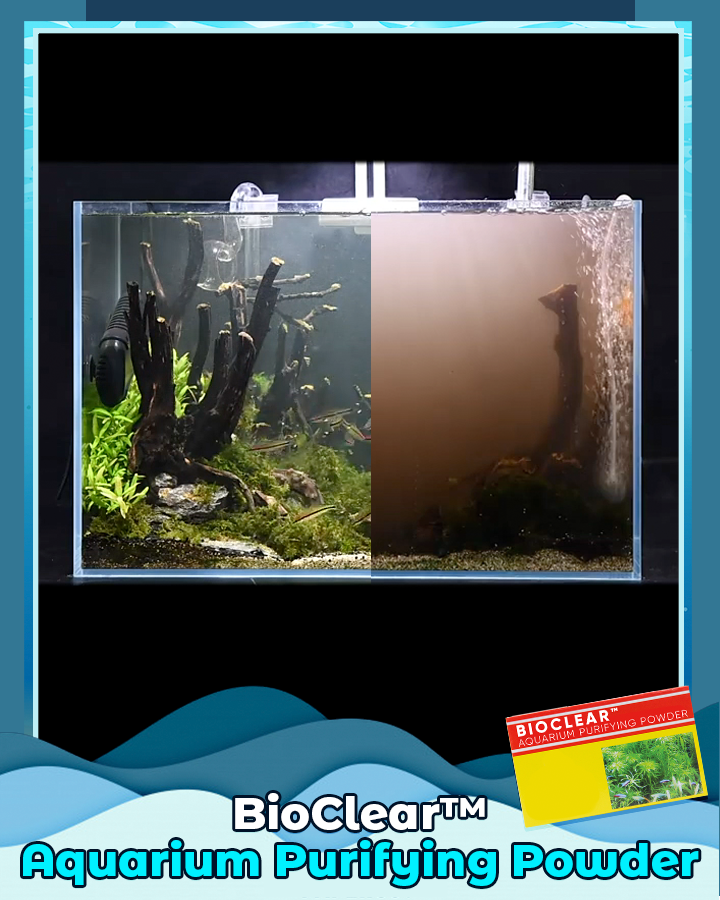 BioClear Aquarium Purifying Powder