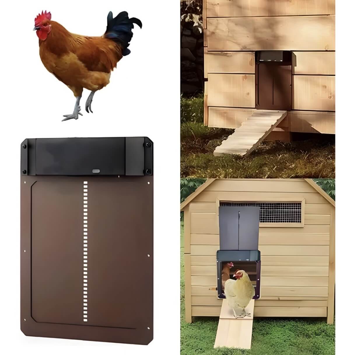 CluckGuard - Chicken Coop Automatic Door