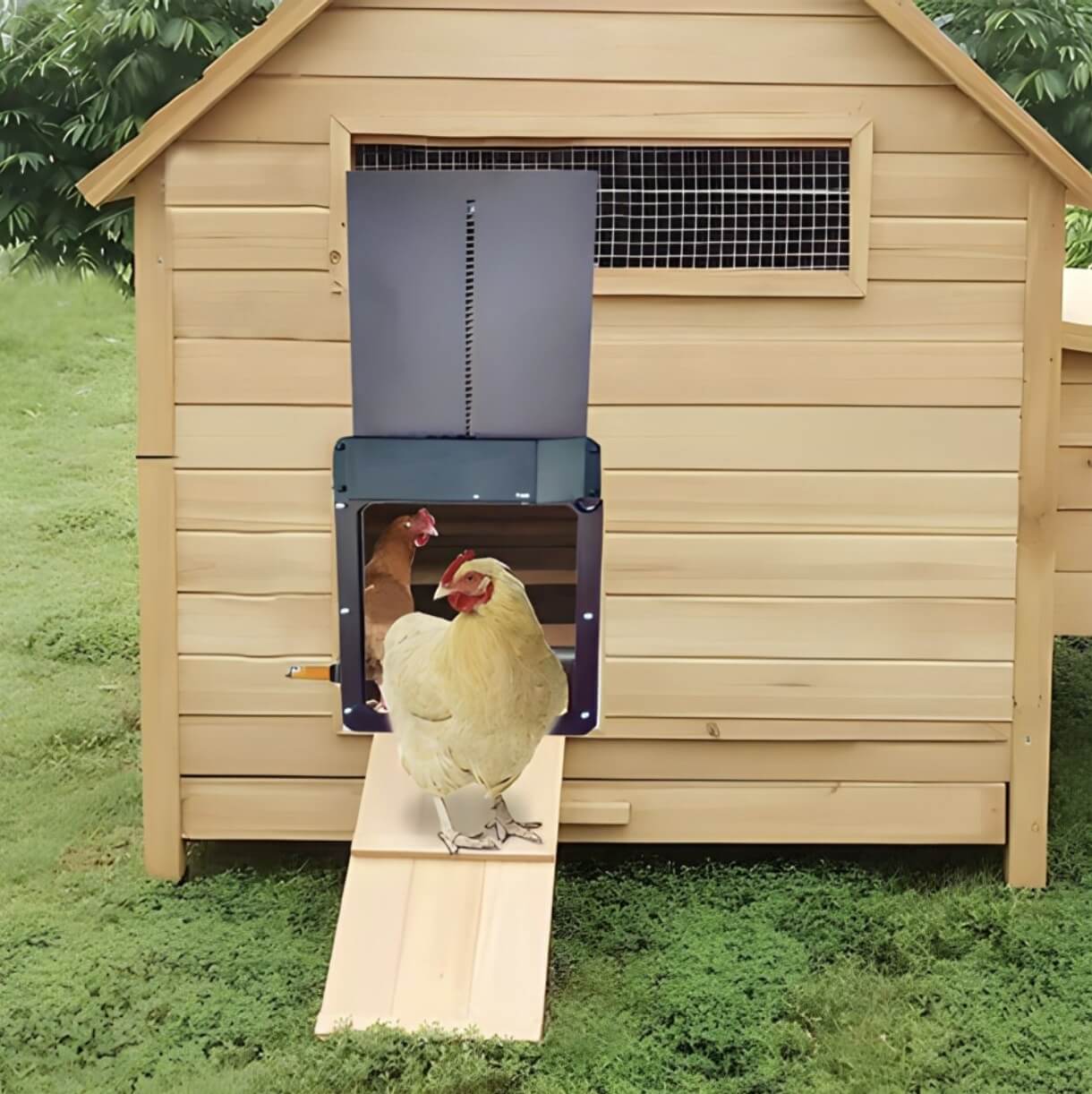 CluckGuard - Chicken Coop Automatic Door