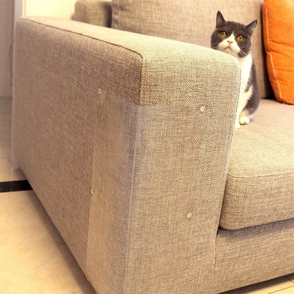 FelineShield - Protect Your Furniture From Cat Scratching