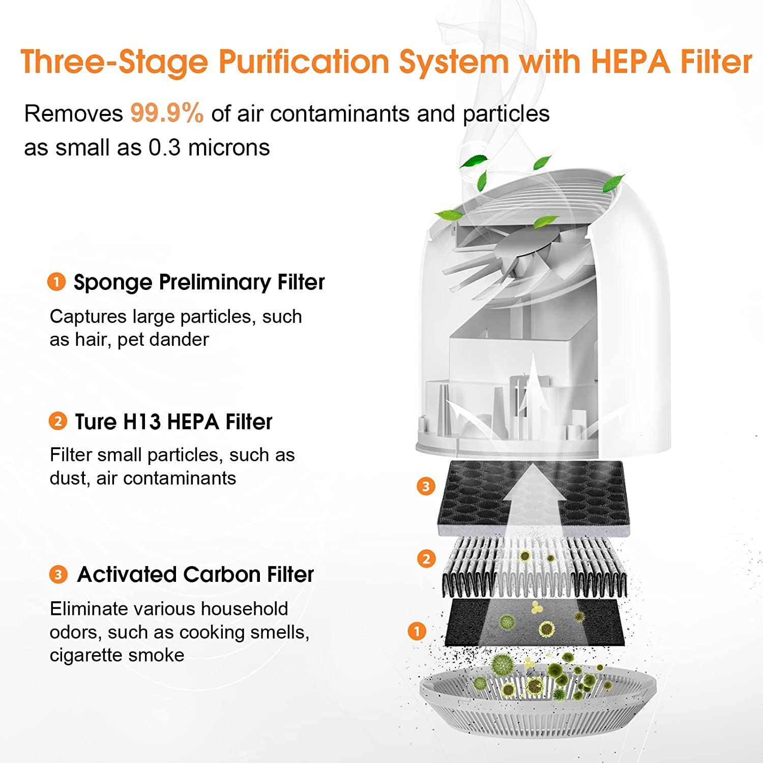 Home Haven - Air Purifiers Pro