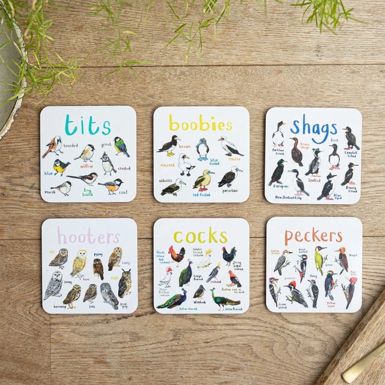 Last Day 49% OFF - Set of 6 Bird Pun Coasters