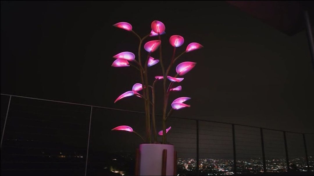 Last Day 49% OFF - The Magical LED Houseplant