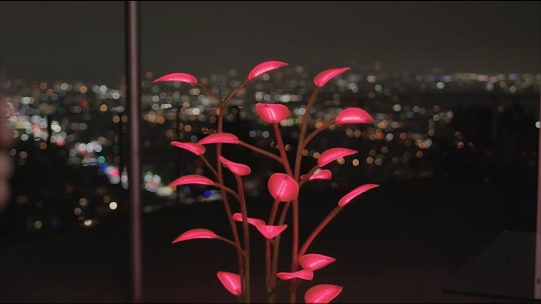 Last Day 49% OFF - The Magical LED Houseplant