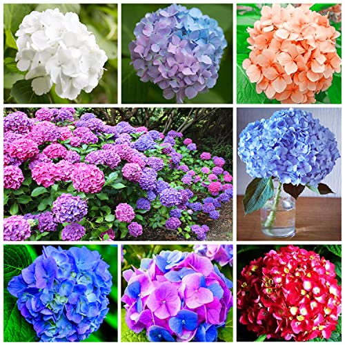 Last Day 70% OFF-Outdoor Artificial Hydrangea Flowers