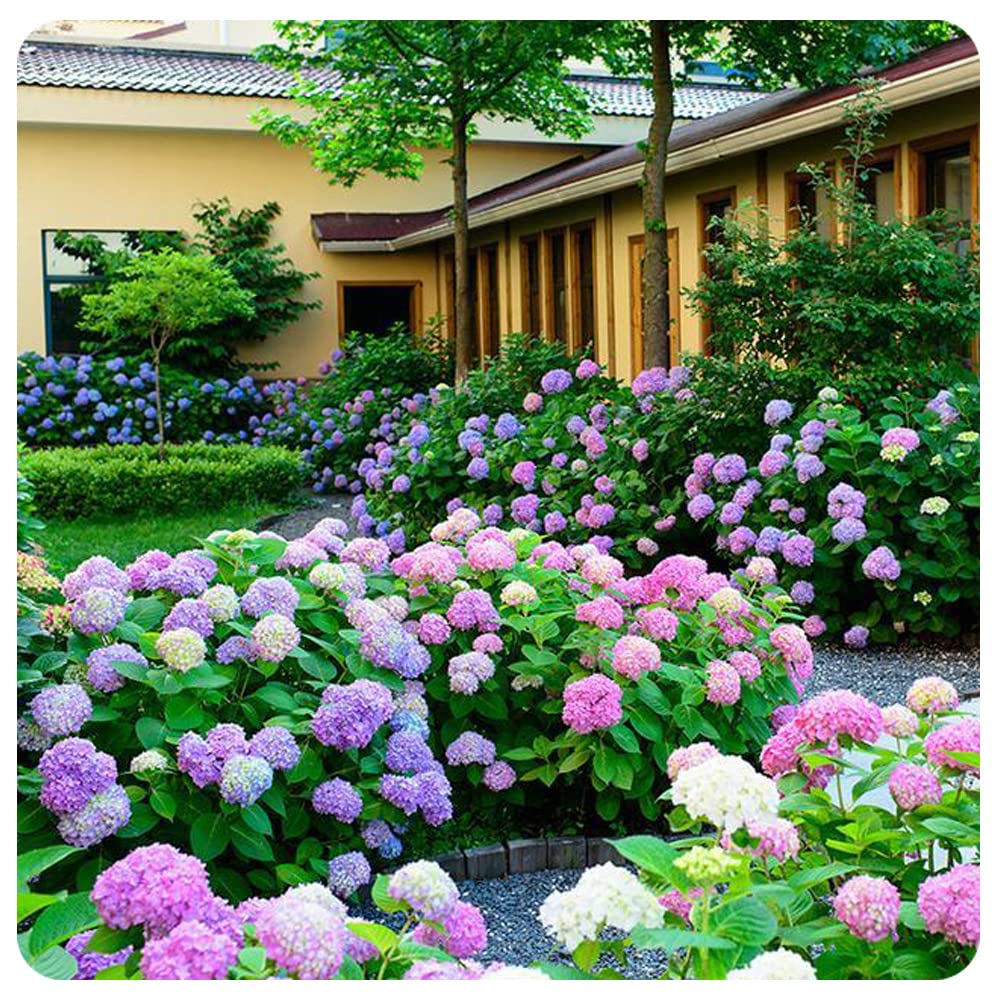 Last Day 70% OFF-Outdoor Artificial Hydrangea Flowers