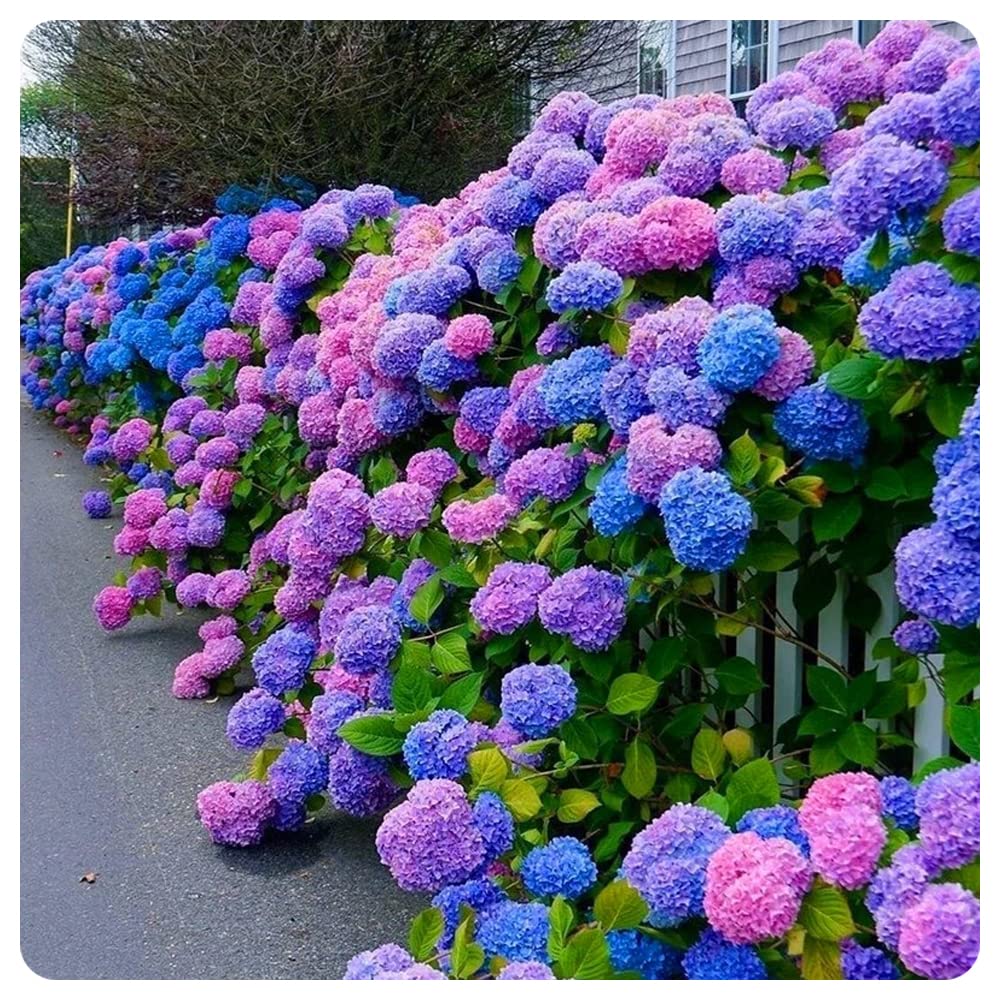 Last Day 70% OFF-Outdoor Artificial Hydrangea Flowers