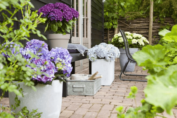 Last Day 70% OFF-Outdoor Artificial Hydrangea Flowers