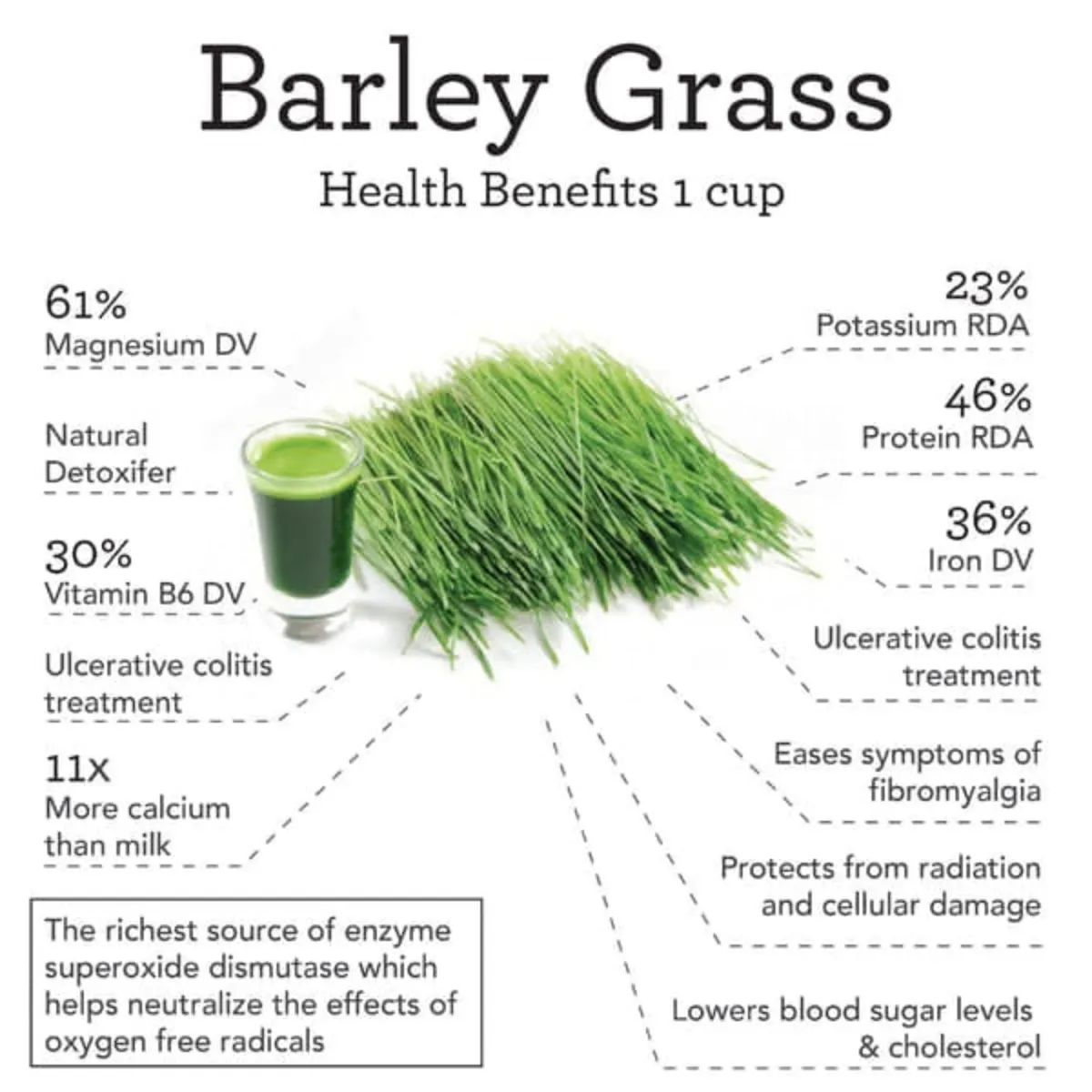 Naveta Barley Grass Powder 100% Pure & Organic