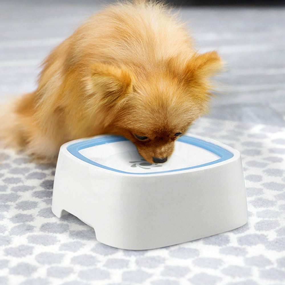 Paw Dish Water Bowl