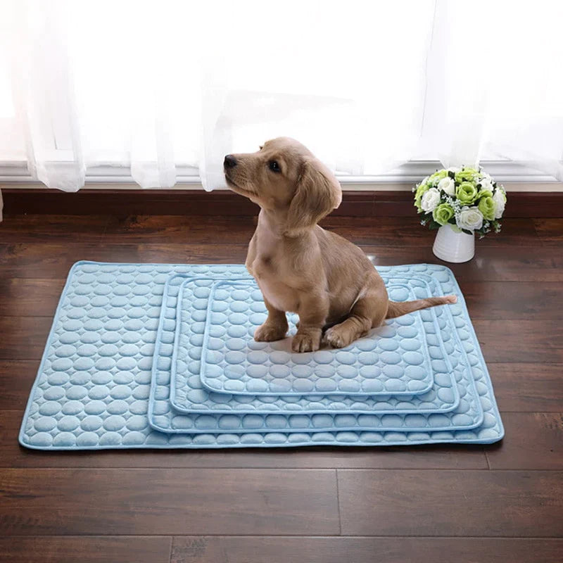 Polar Cooling Pet Mat