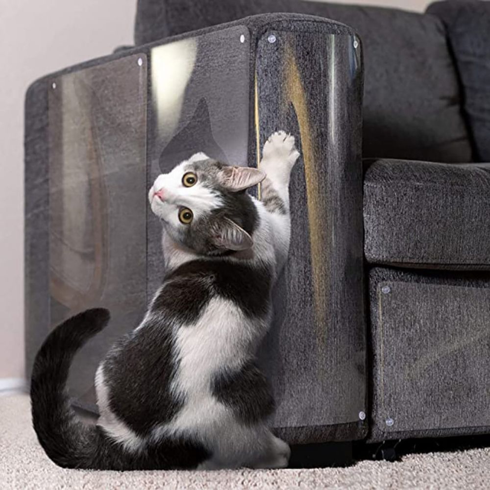 ScratchGuard  Transparent Furniture Protector