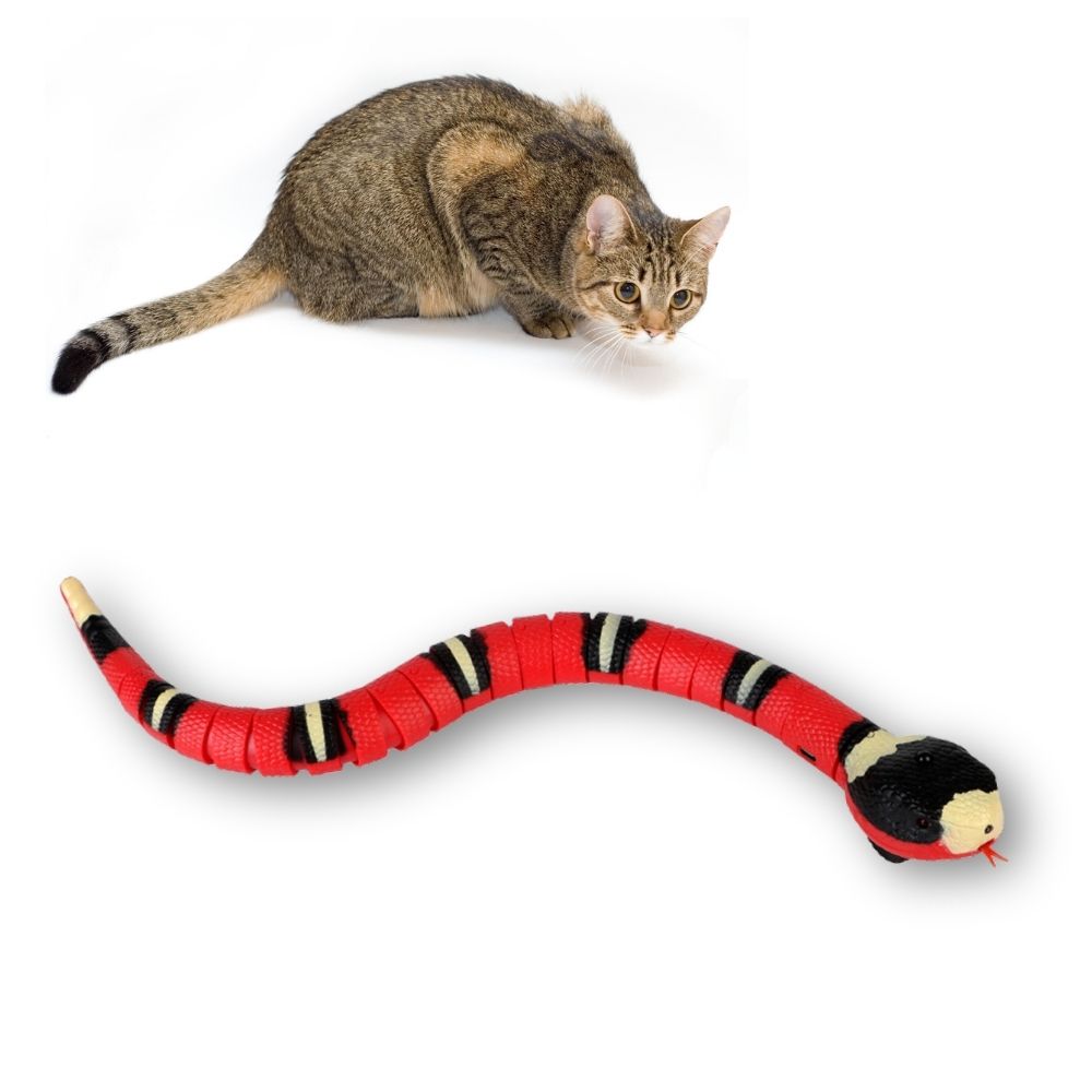 Slither Sprint  Interactive Cat Toy