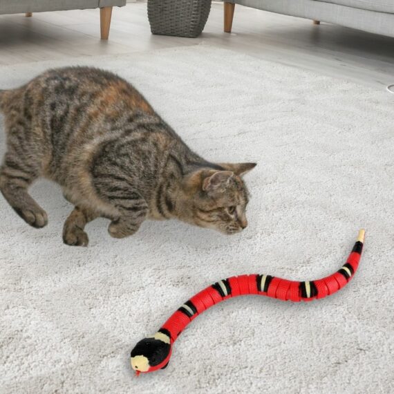 Slither Sprint  Interactive Cat Toy