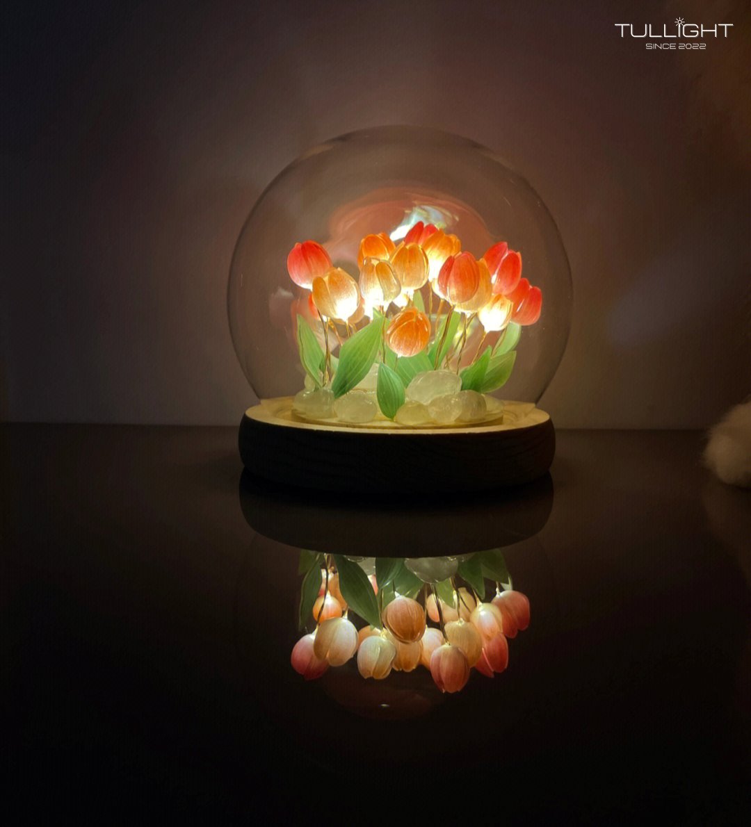 TulLight - DIY Tulip Night Light