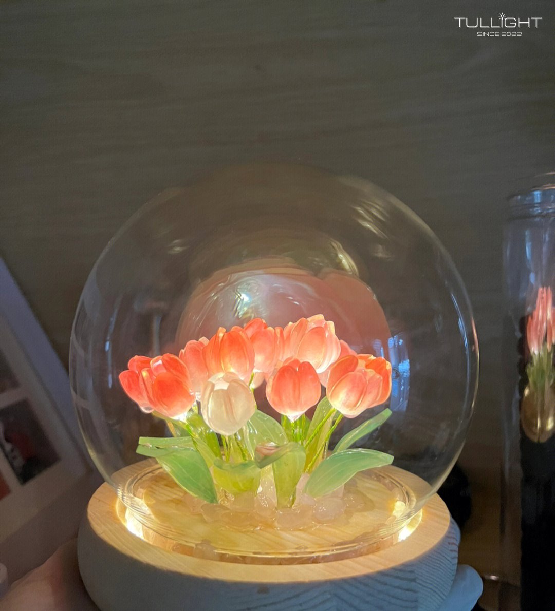 TulLight - DIY Tulip Night Light