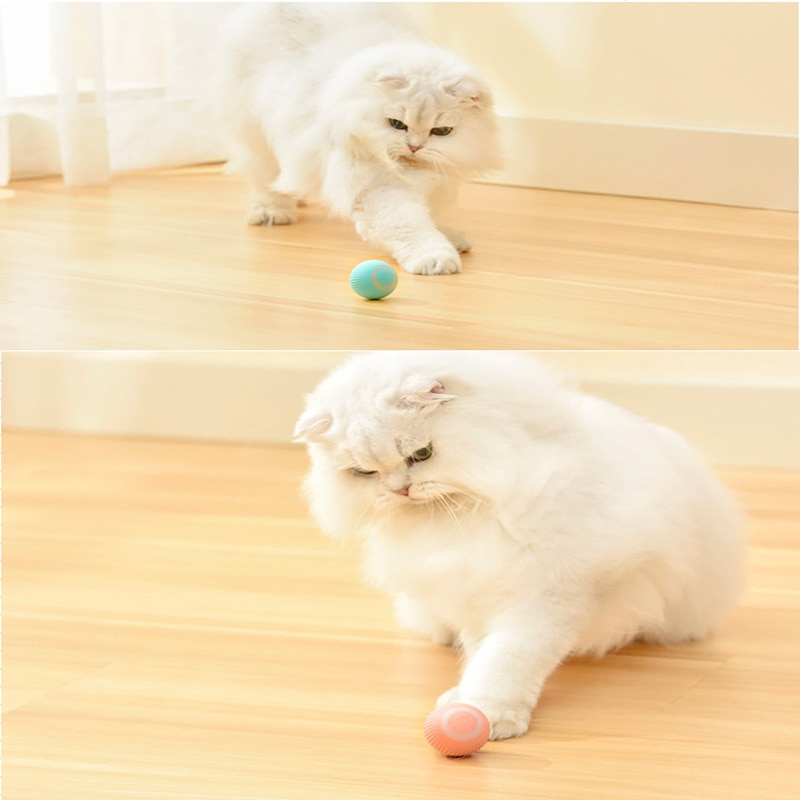 AutoPurrBall