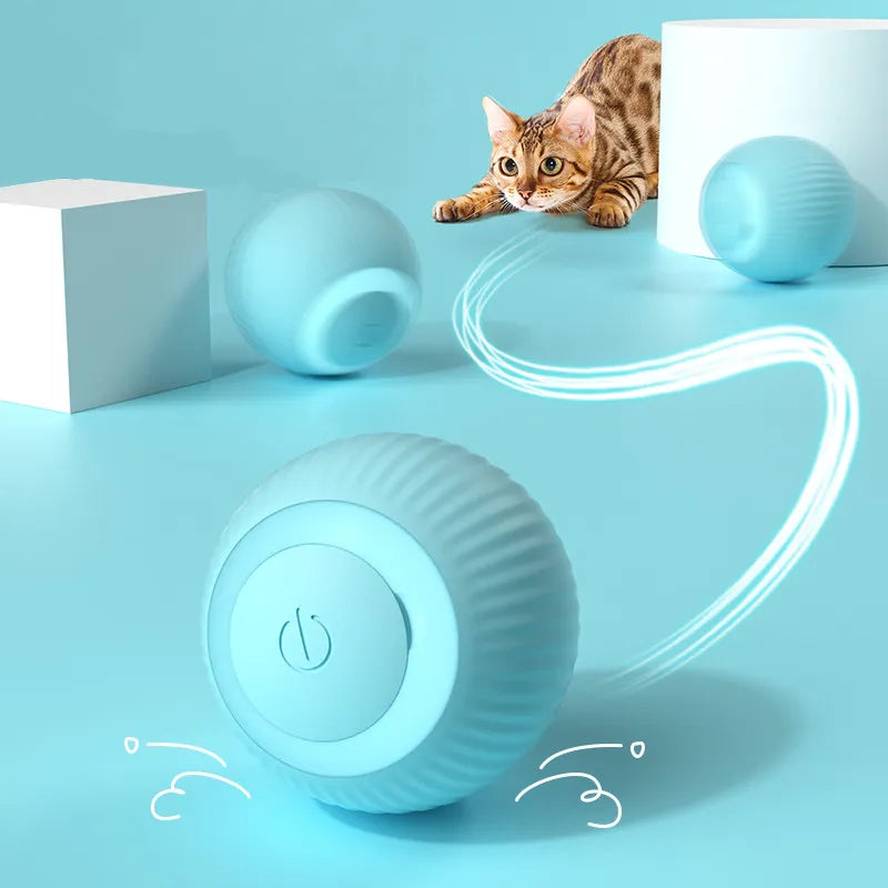 Bouncey - Interactive Pet Toy