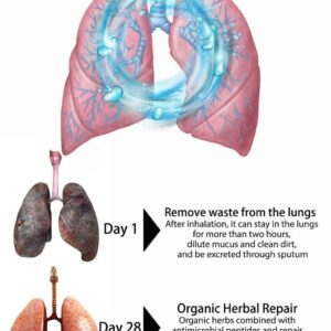 BREATHE-RIGHT: ORGANIC HERBAL LUNG CLEANSE & REPAIR RESPIRATORY NASAL SPRAY PRO