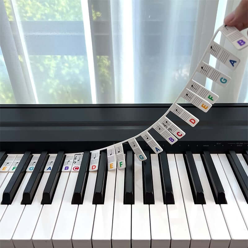 Children’s Day -49%OFF – Removable Piano Keyboard Note Labels