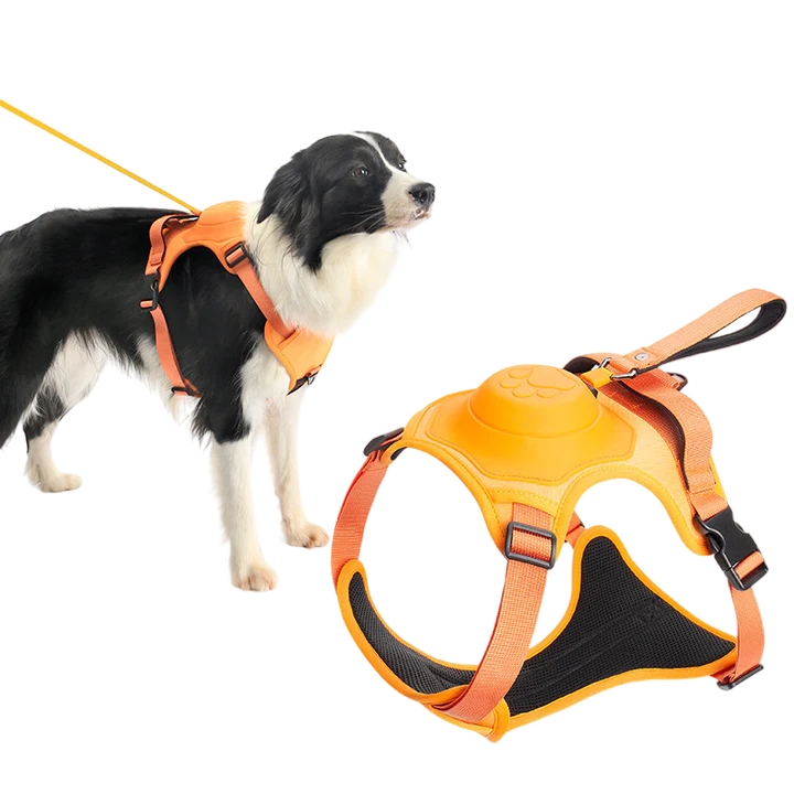 ComfyWalk – Retractable Dog Leash harness