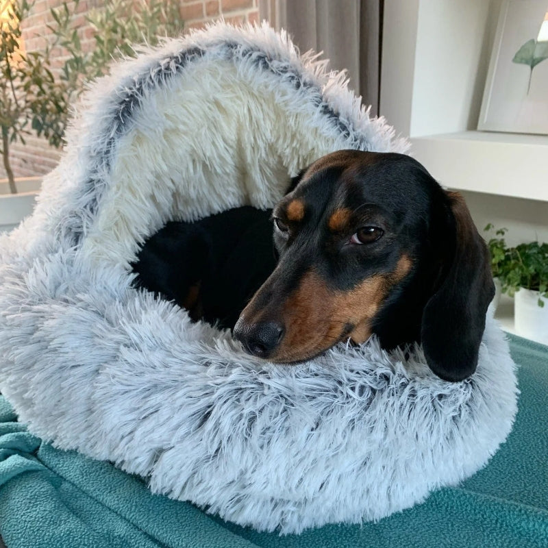 cozycave pet bed