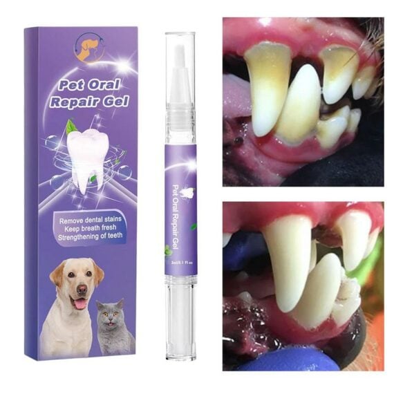 Cvreoz Pet Oral Repair Gel - Lulunami