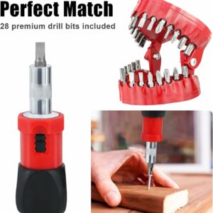 Denture Drill Bit Holder with 28 Bits Set