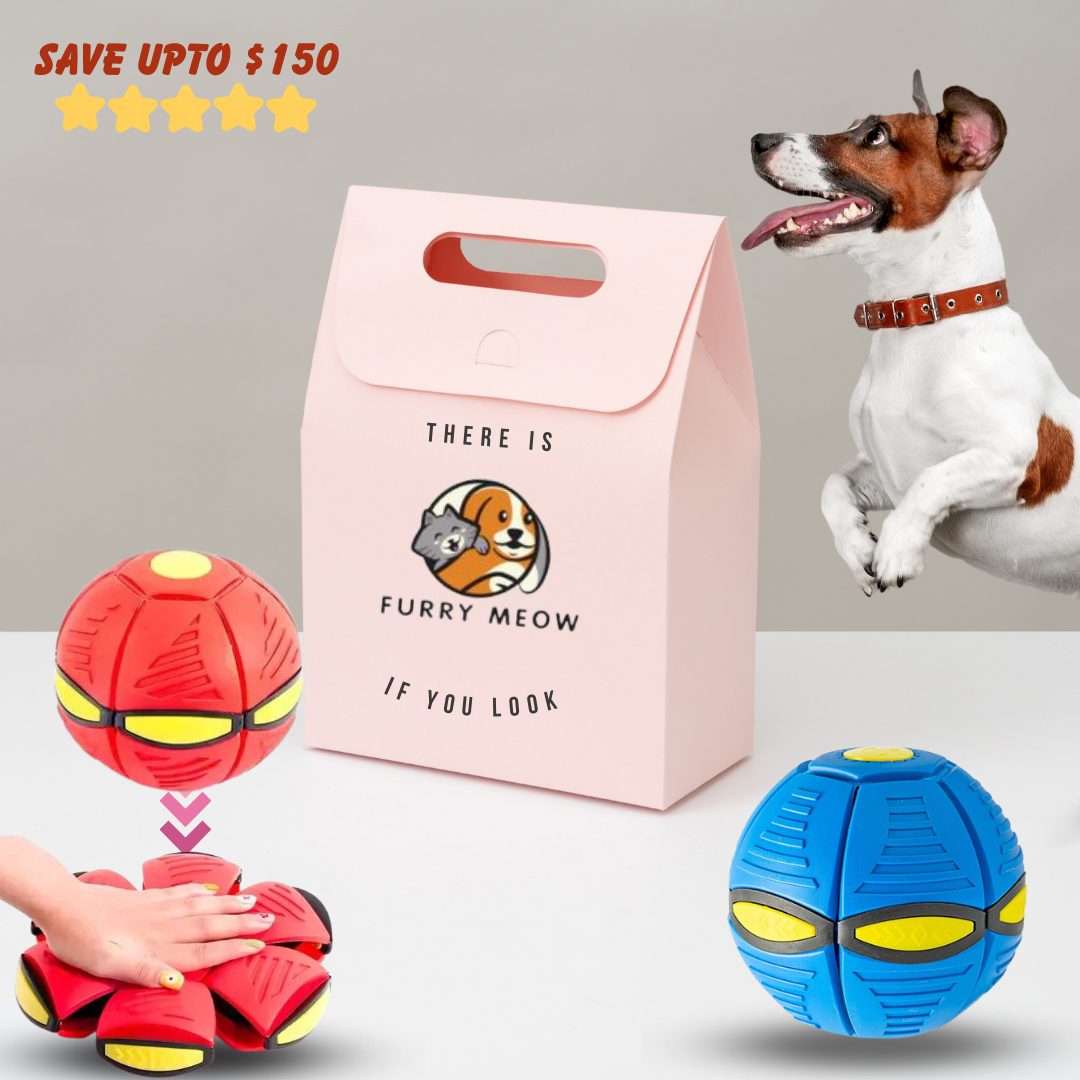 Dog Flying Saucer Ball