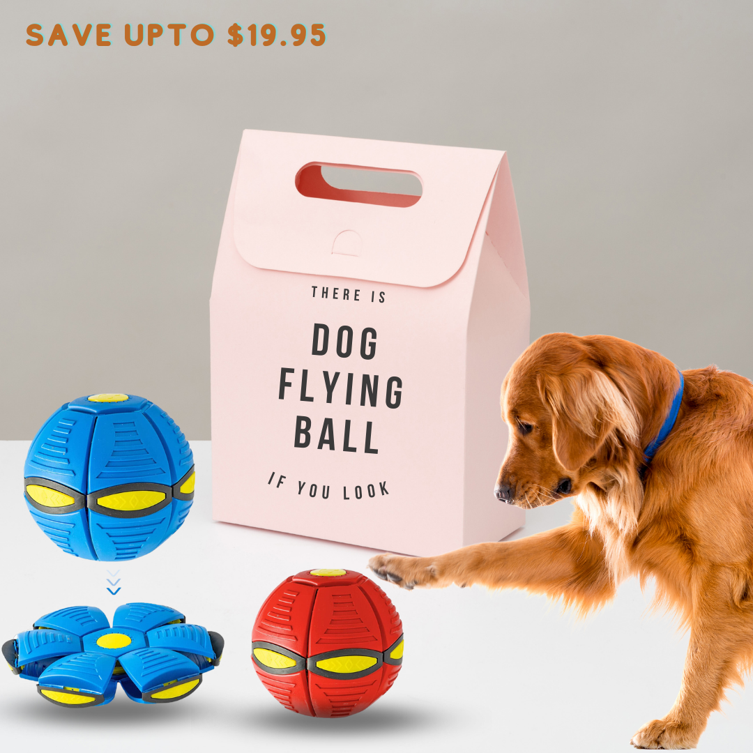 Dog Flying Saucer Ball