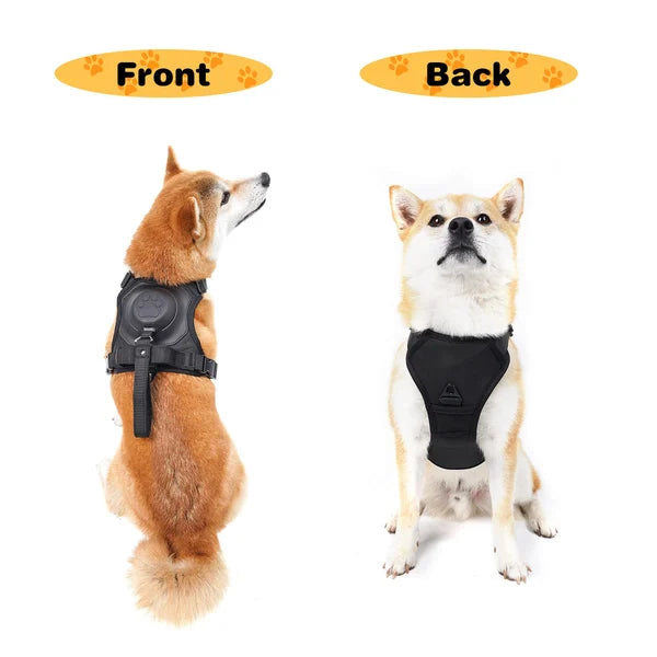 Dog Harness and Retractable Leash Set All-in-One