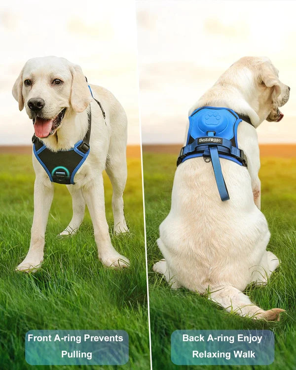 Dog Harness and Retractable Leash Set All-in-One