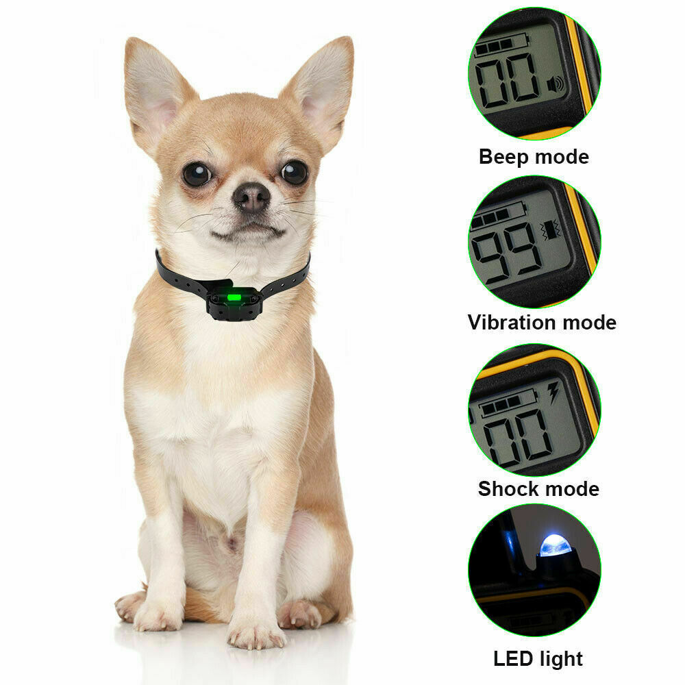 Electric Dog Training Collar