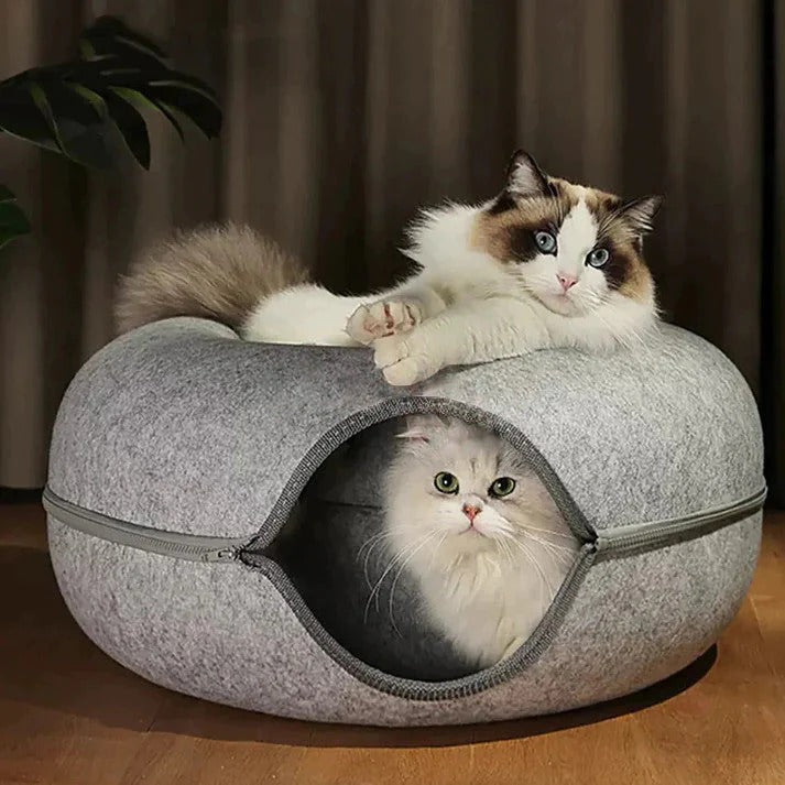 "Hide-and-seek" Cozypode Cat Tunnel Bed