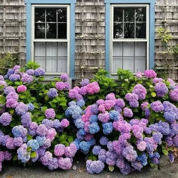 Last Day 70% OFF - Outdoor Artificial Hydrangea Flowers