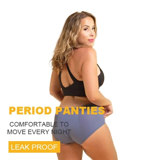 Last Day Promotion - Leak Proof Protective Panties