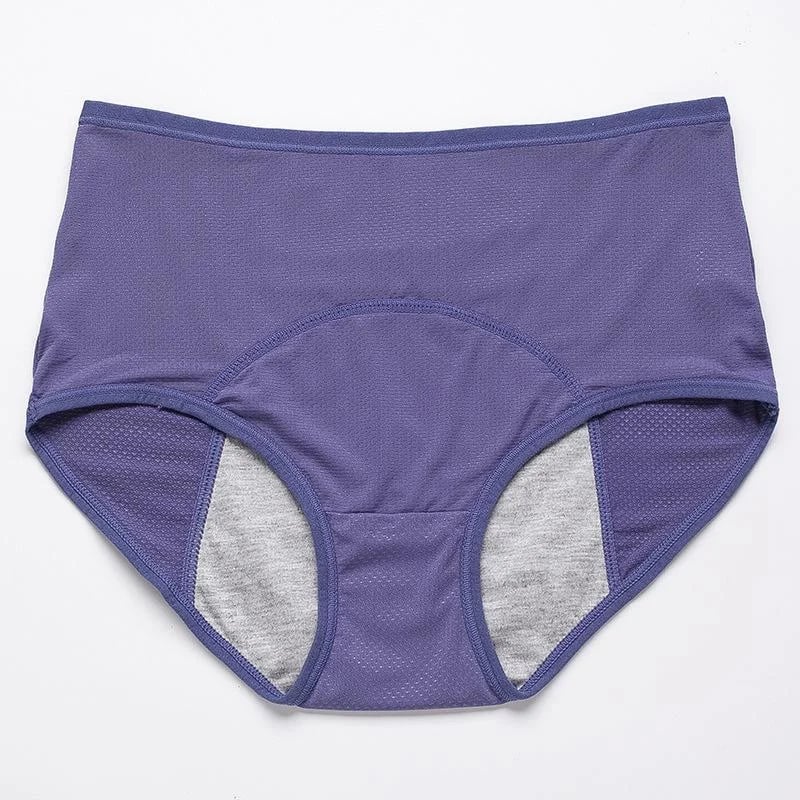 Last Day Promotion - Leak Proof Protective Panties