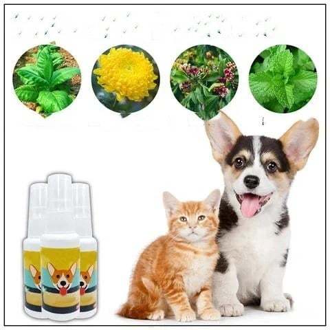 Last Day Promotion- SAVE 70% - Pet Potty Here Training Spray