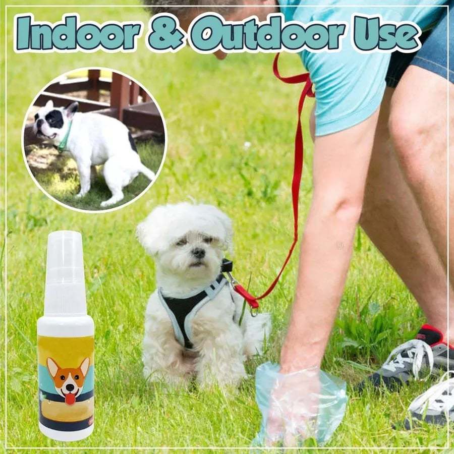 Last Day Promotion- SAVE 70% – Pet Potty Here Training Spray