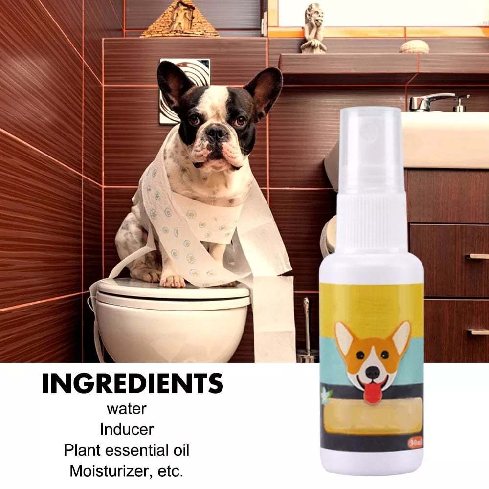 Last Day Promotion- SAVE 70% - Pet Potty Here Training Spray