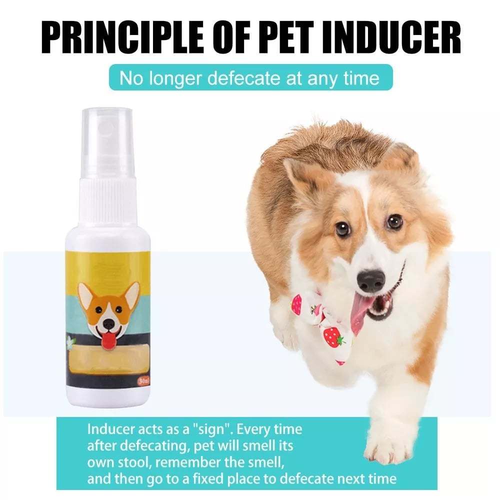 Last Day Promotion- SAVE 70% - Pet Potty Here Training Spray