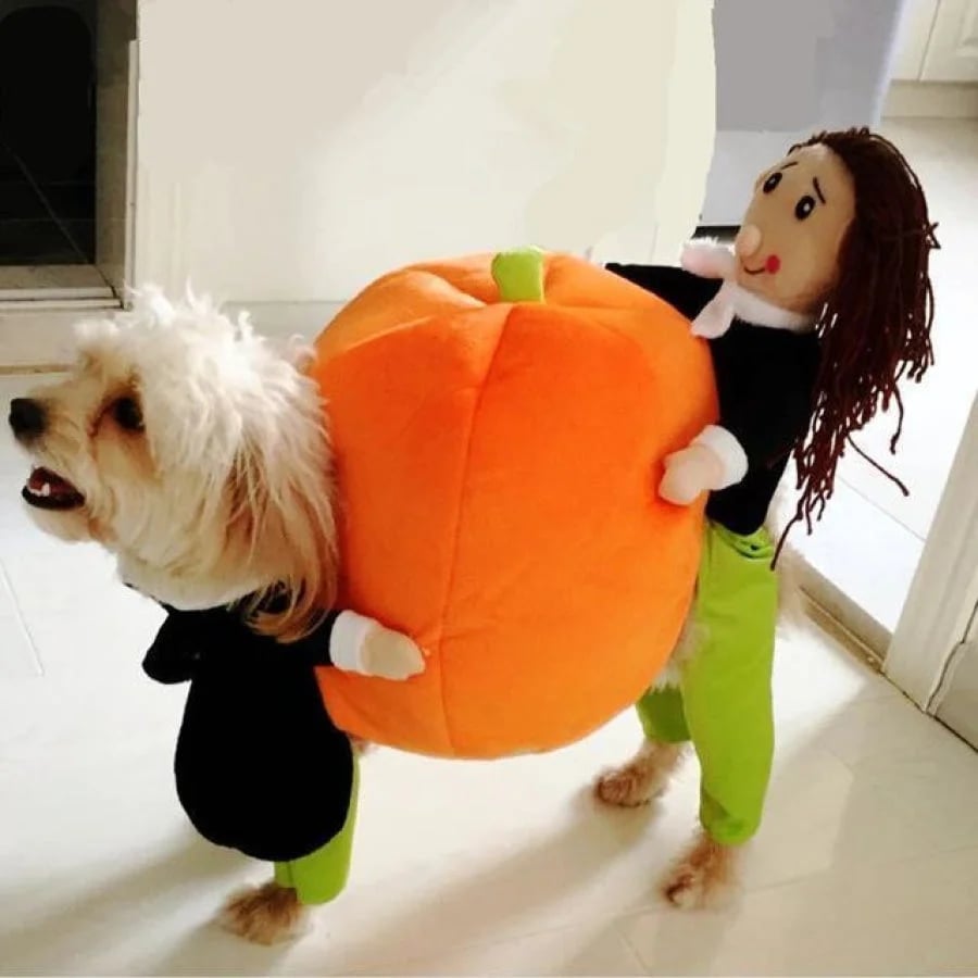 Last Week 60% OFF - Dog Pumpkin Halloween Costume - Buy 2 FREE SHIPPING