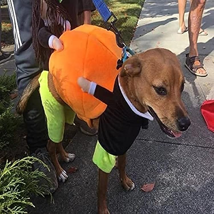 Last Week 60% OFF - Dog Pumpkin Halloween Costume - Buy 2 FREE SHIPPING