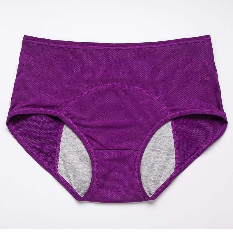 Leak Proof Protective Panties -  LAST DAY 50% OFF