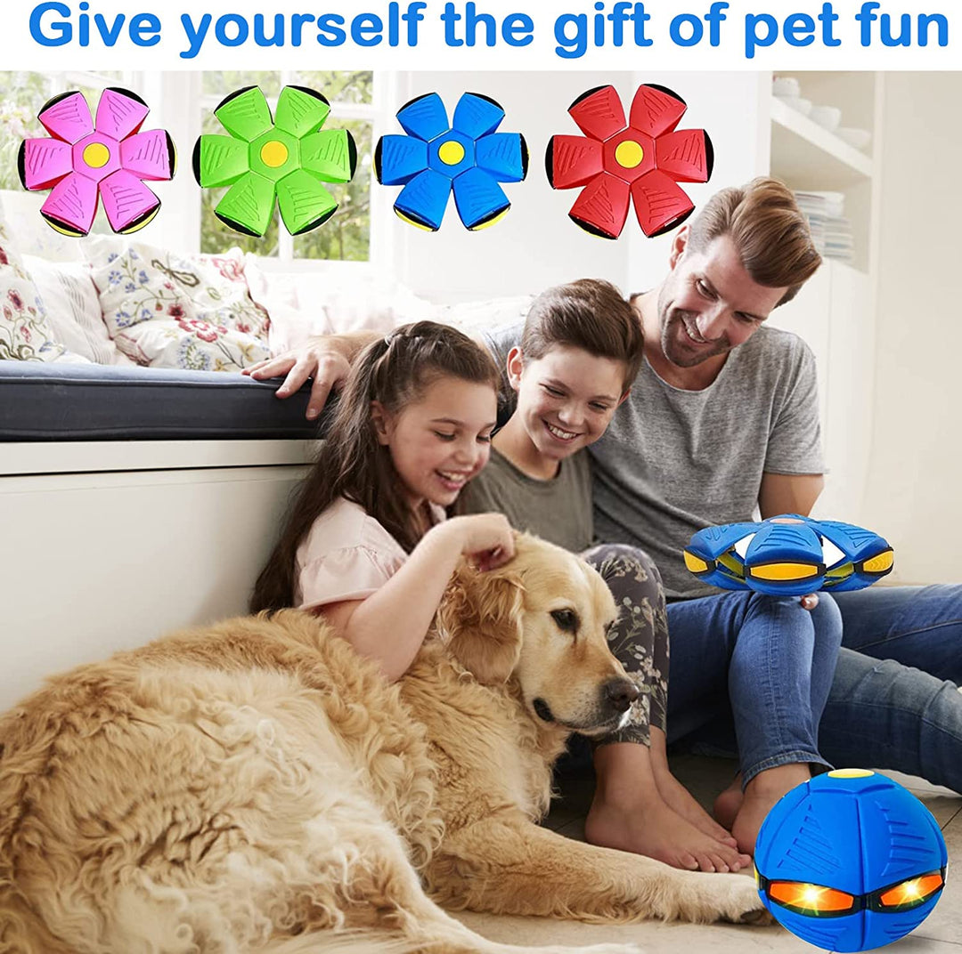 Pawsome - Flying Saucer Ball