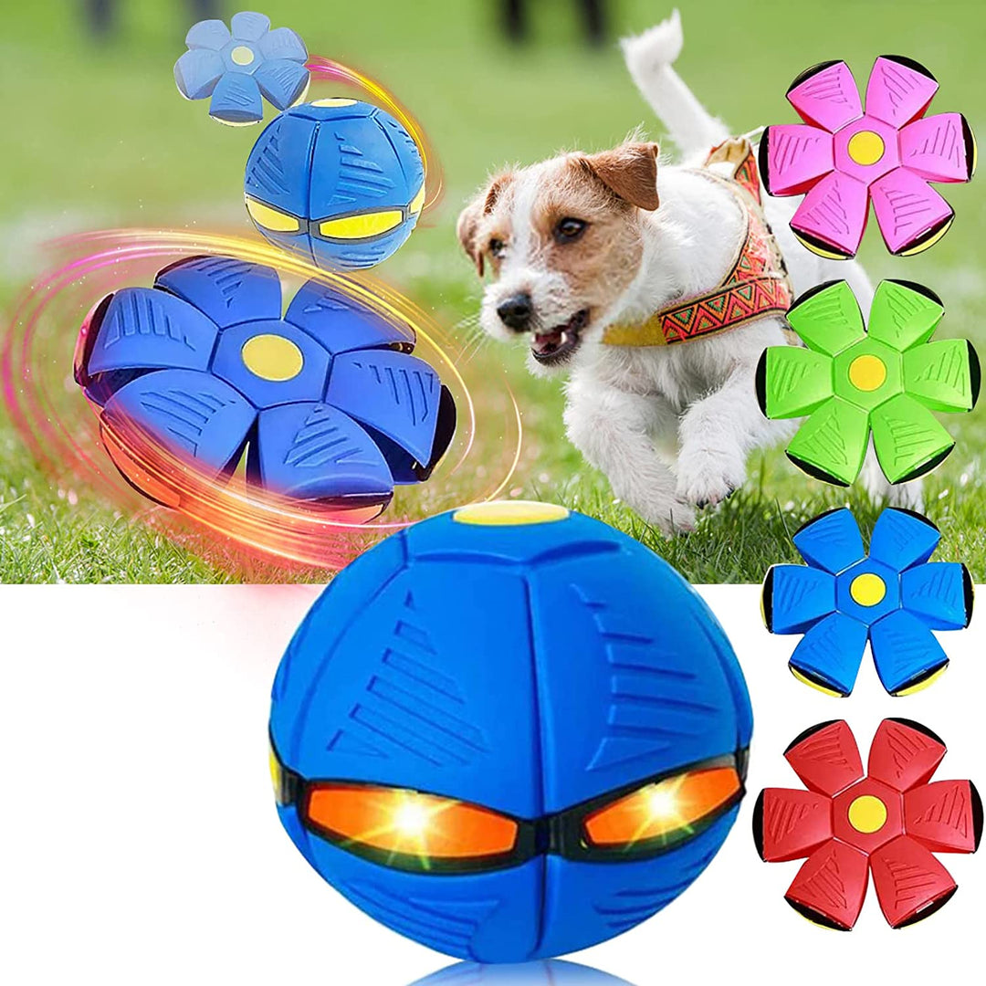 Pawsome - Flying Saucer Ball